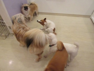 IMG_5761.jpg
