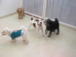 IMG_5829.jpg