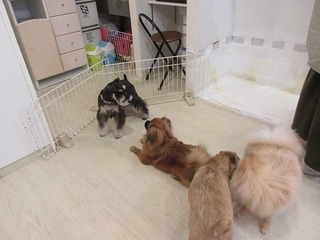IMG_5838.jpg