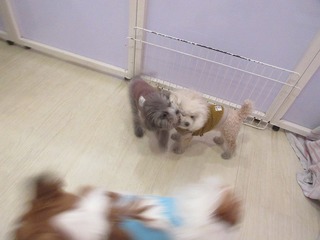 IMG_5864.jpg