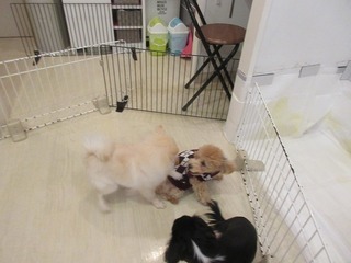 IMG_5874.jpg