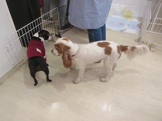 IMG_5879.jpg