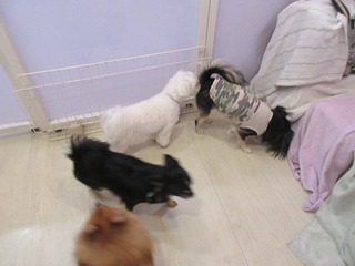 IMG_5911.jpg