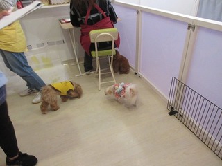 IMG_5912.jpg