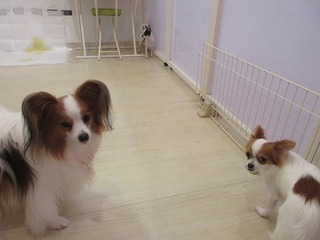 IMG_5935.jpg