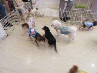 IMG_5946.jpg