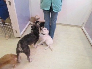 IMG_5991.jpg
