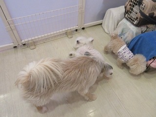 IMG_6014.jpg