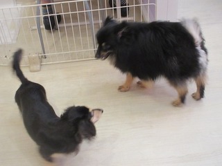 IMG_6113.jpg