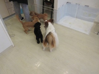 IMG_6143.jpg