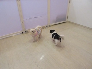 IMG_6146.jpg