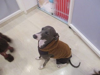 IMG_6176.jpg
