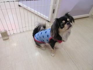 IMG_6199.jpg