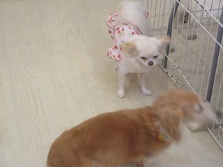 IMG_6205.jpg