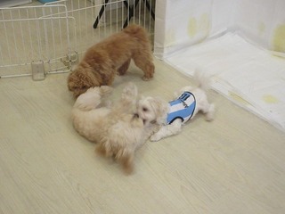 IMG_6259.jpg