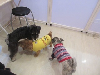 IMG_6293.jpg