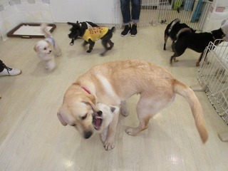 IMG_6363.jpg