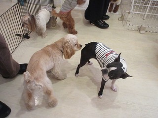 IMG_6364.jpg