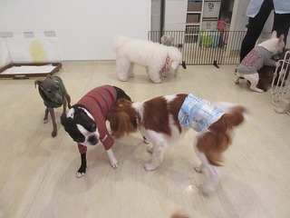 IMG_6422.jpg