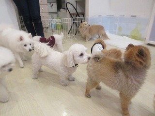 IMG_6476.jpg