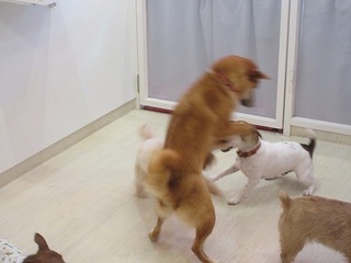 IMG_6499.jpg