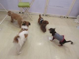 IMG_6545.jpg