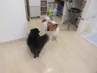 IMG_6547.jpg