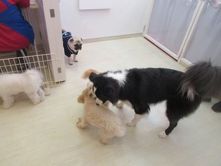 IMG_6567.jpg