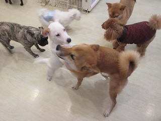 IMG_6576.jpg