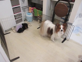 IMG_6579.jpg