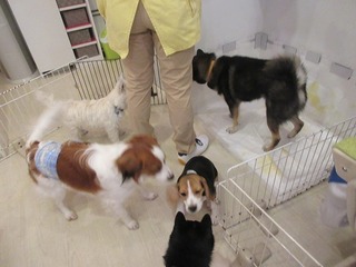 IMG_6599.jpg