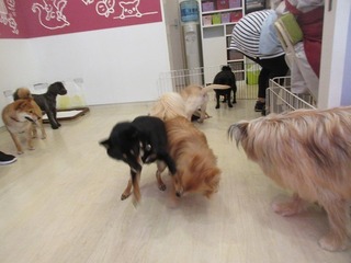 IMG_6620.jpg