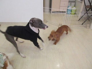 IMG_6666.jpg