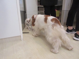 IMG_6672.jpg