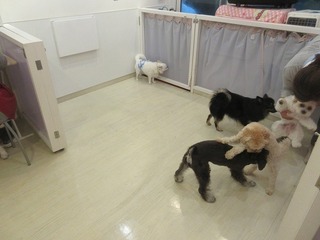 IMG_6684.jpg