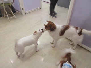 IMG_6736.jpg