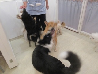 IMG_6744.jpg