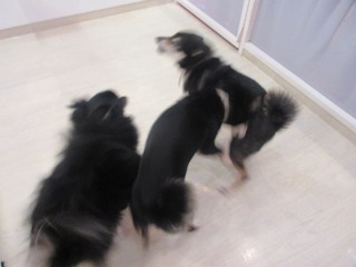 IMG_6746.jpg