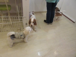 IMG_6746.jpg