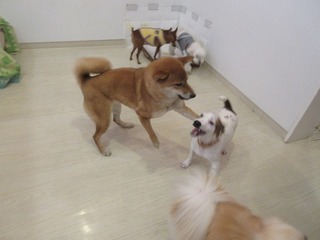 IMG_6750.jpg