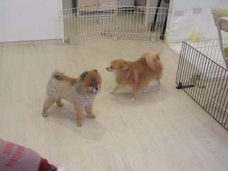 IMG_6750.jpg
