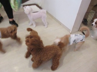 IMG_6752.jpg