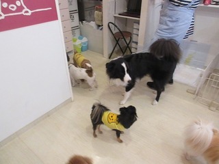 IMG_6759.jpg