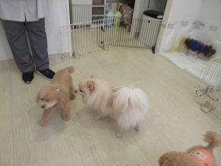 IMG_6776.jpg