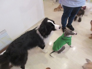 IMG_6777.jpg