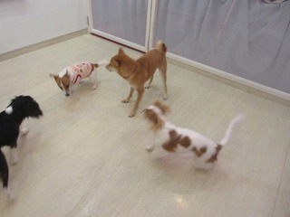 IMG_6784.jpg