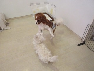 IMG_6791.jpg