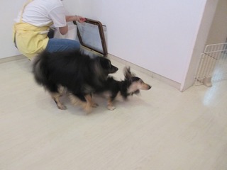 IMG_6810.jpg