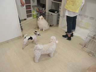 IMG_6820.jpg