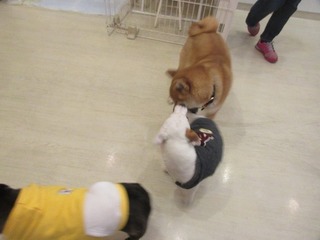 IMG_6837.jpg